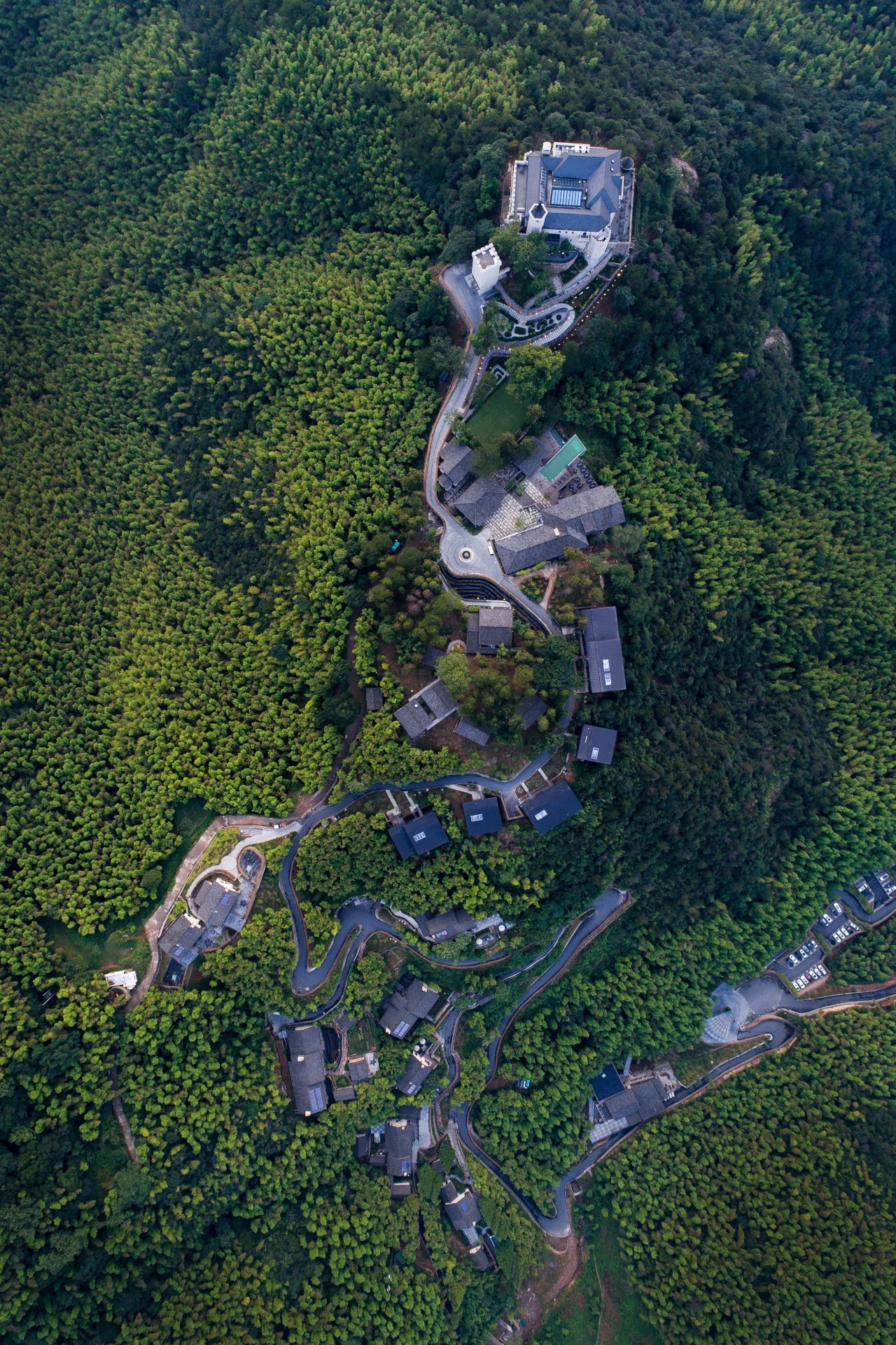 树梢上的别墅建筑：6个比较火的“巢居”案例