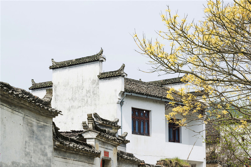 马头墙—中国江南传统民居建筑特色元素