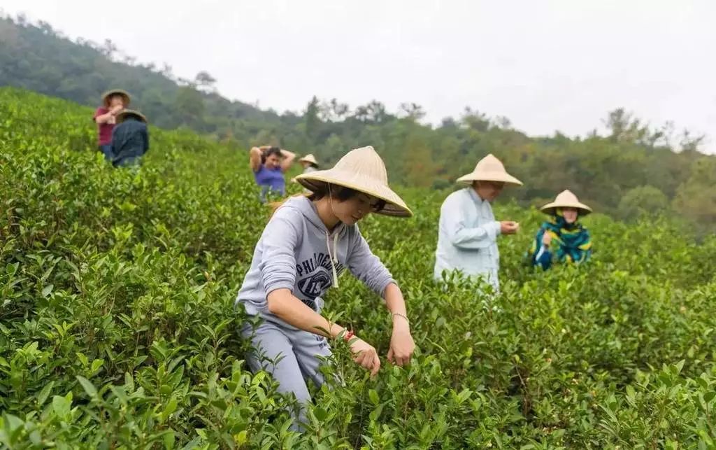 新中式建筑之美：皆是美景的16家度假酒店