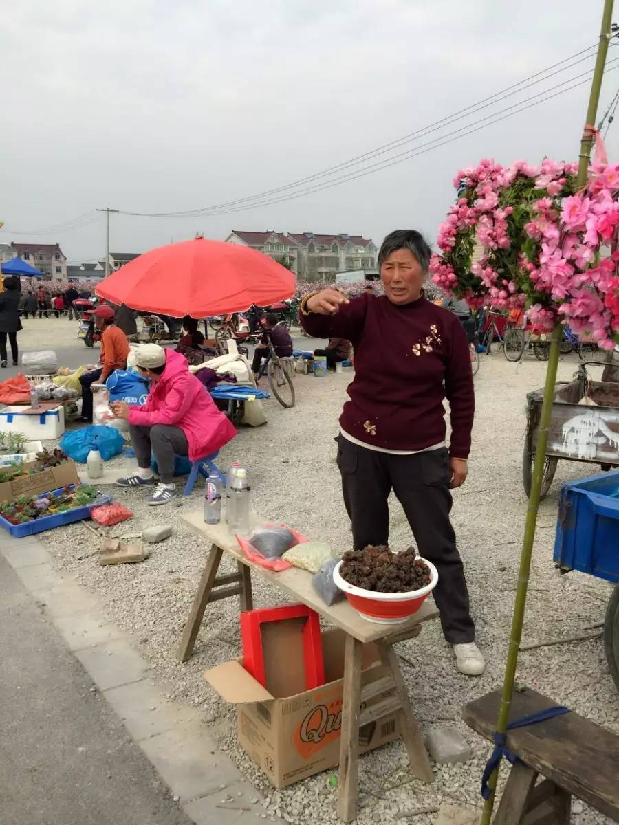 古镇之外的新场,或许更有新意