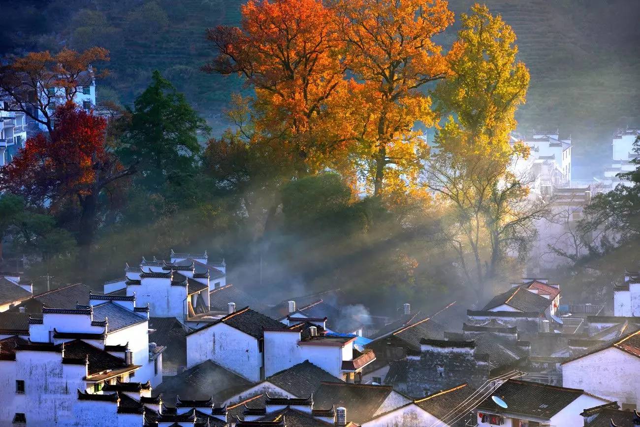 婺源石城枫叶最佳拍摄时间预告 - 知乎