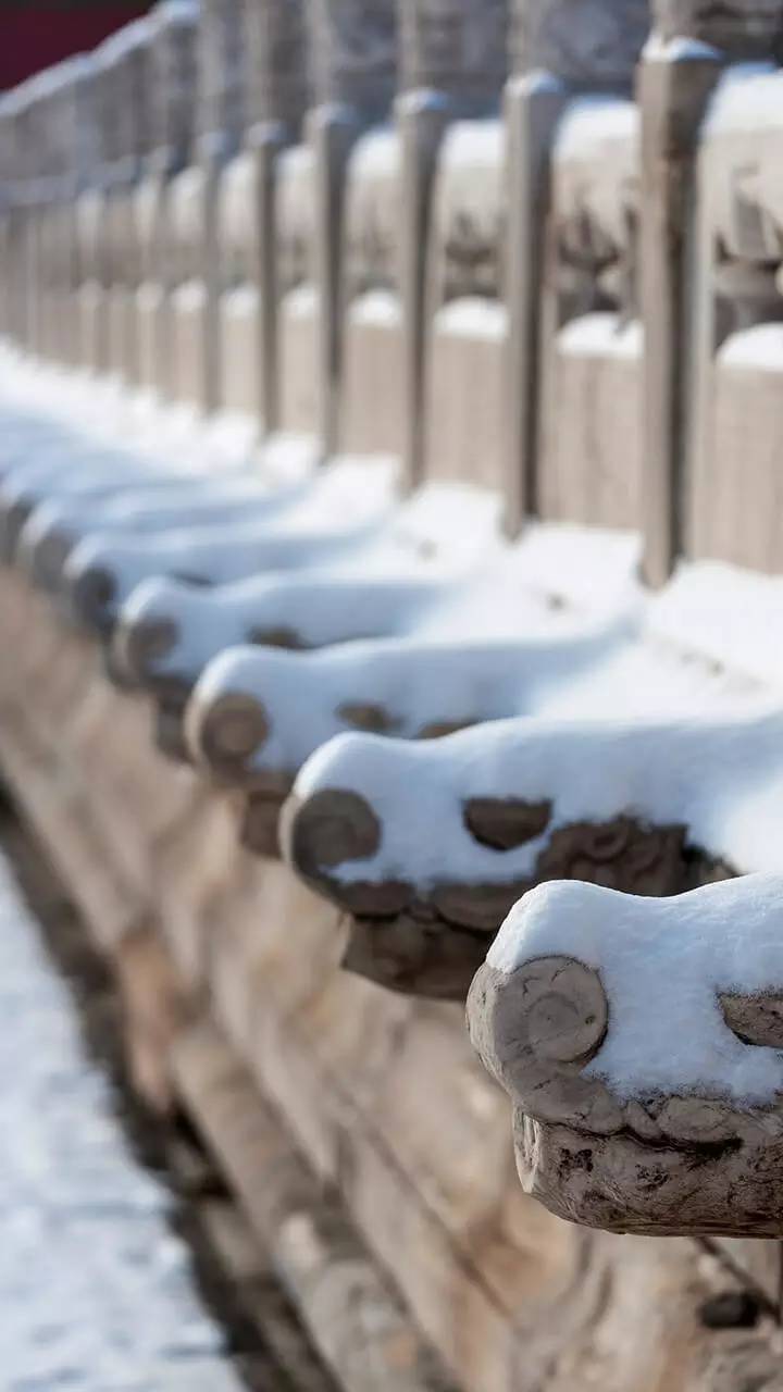 最美中国古建筑：紫禁城下雪了！