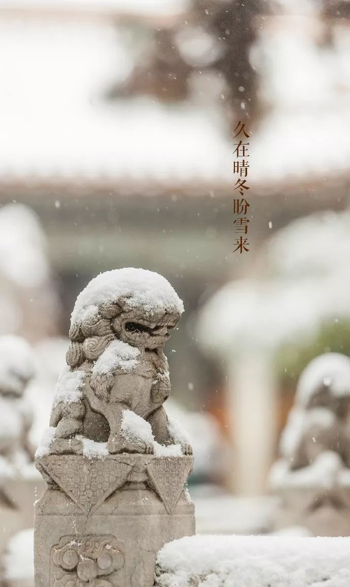 最美中国古建筑：紫禁城下雪了！