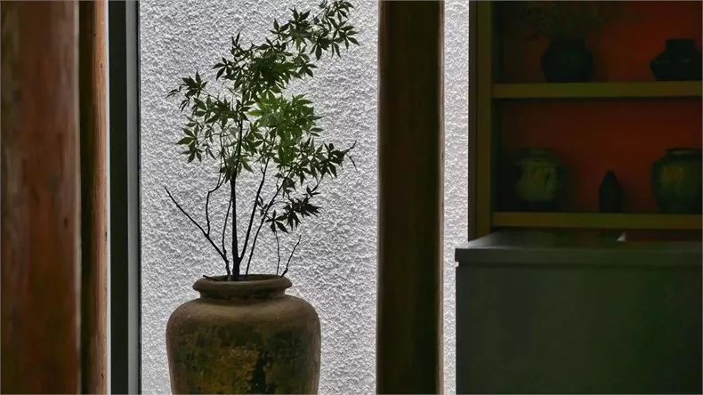 新中式建筑:望庐·一处徽派老宅的焕然新生!