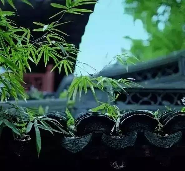 古建筑，一片瓦，遮风挡雨