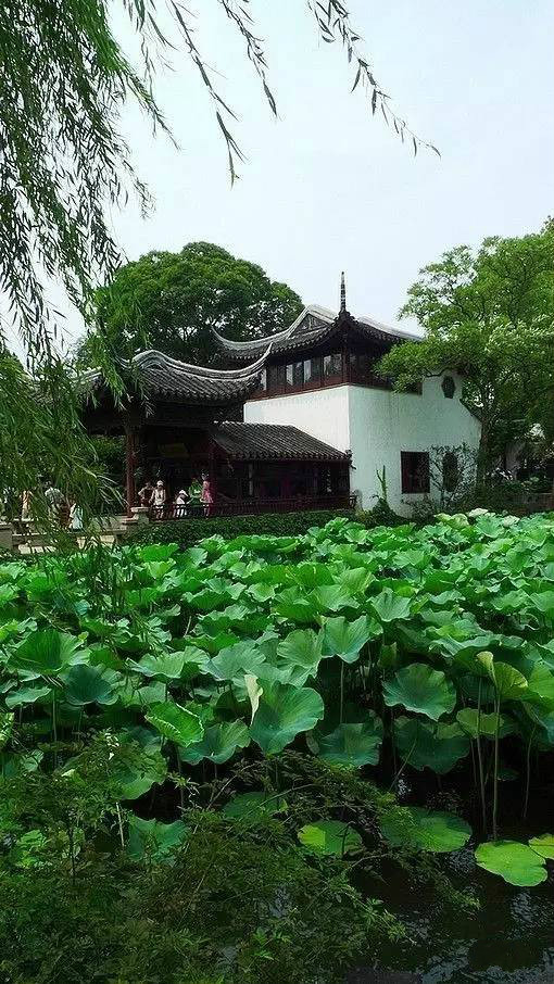 中国古建筑四大类别 北京四合院徽州民居陕北窑