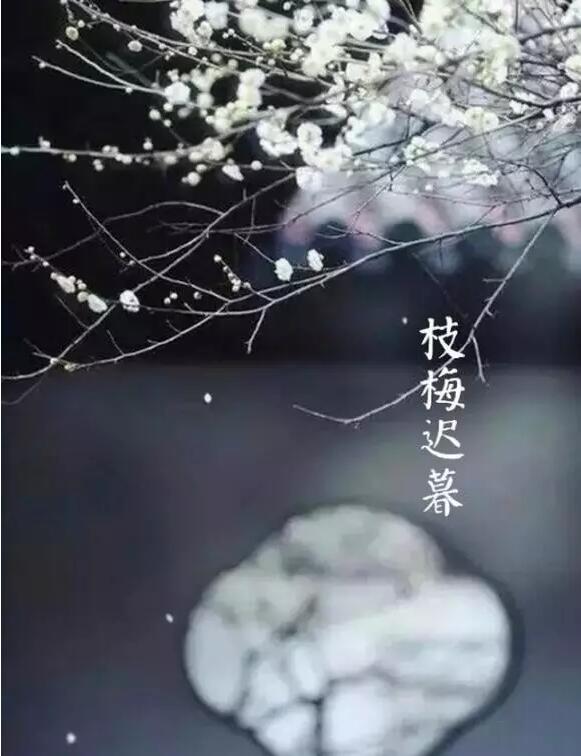 雨水：天生一水，散而为雨