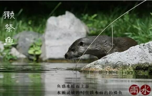 雨水：天生一水，散而为雨