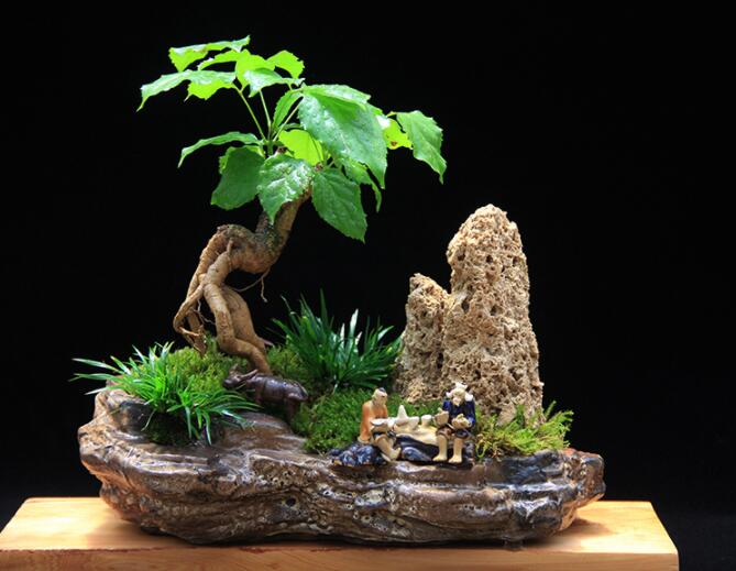高档水石艺术组合，绿植微景观旱盆盆景