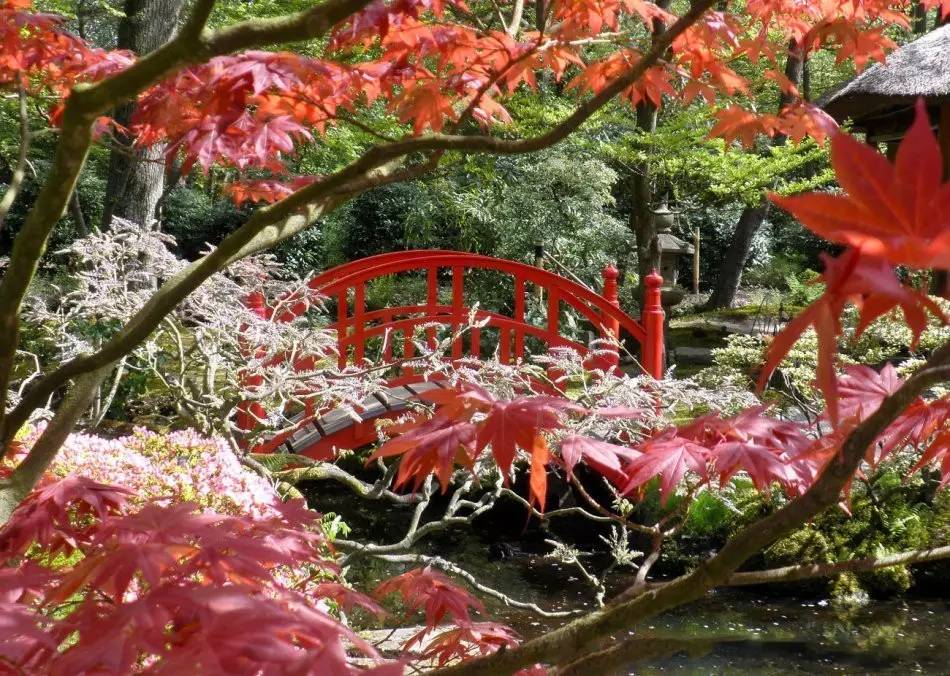 园林景观:日本古典园林艺术浅析