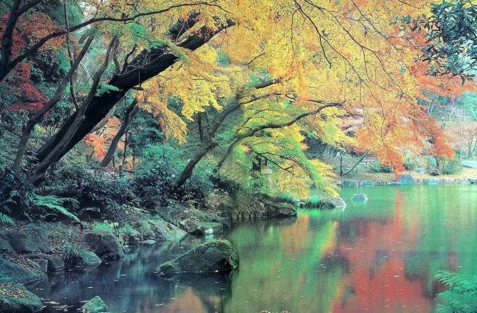 园林景观：日本古典园林艺术浅析