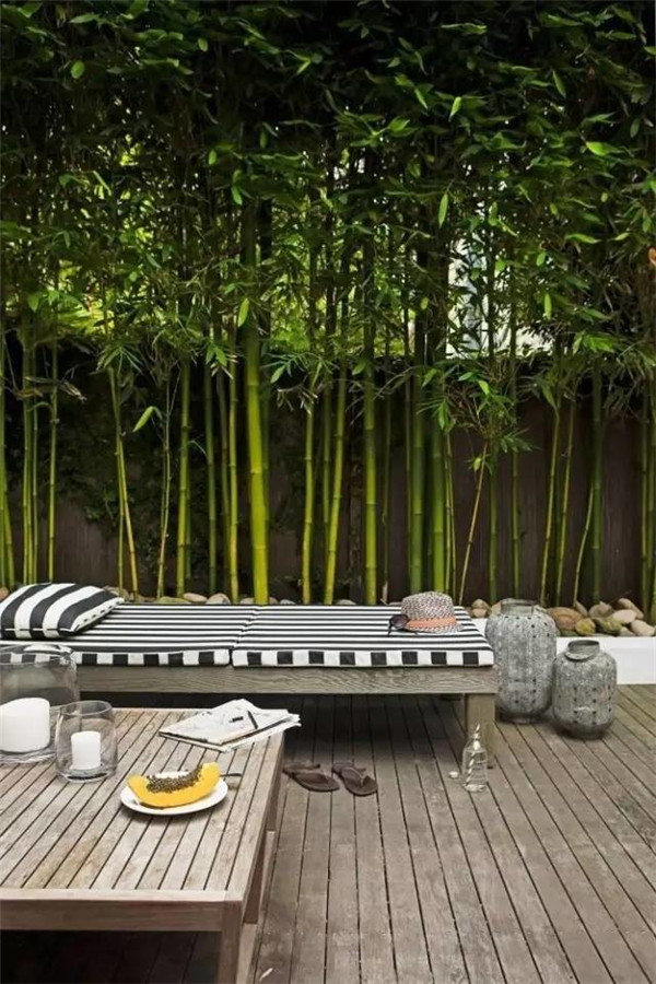 园林设计高清舒雅之竹