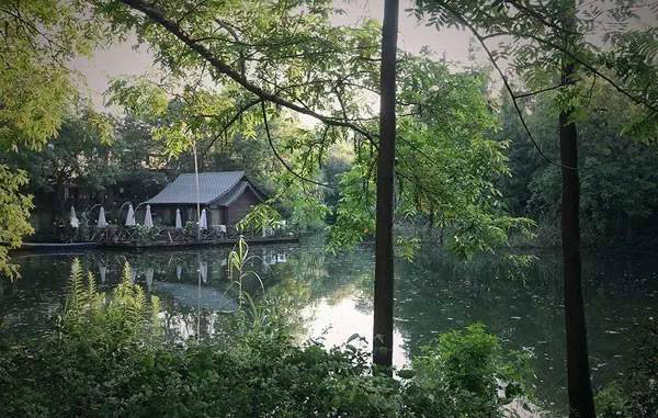 杭州西溪湿地不一样的风景