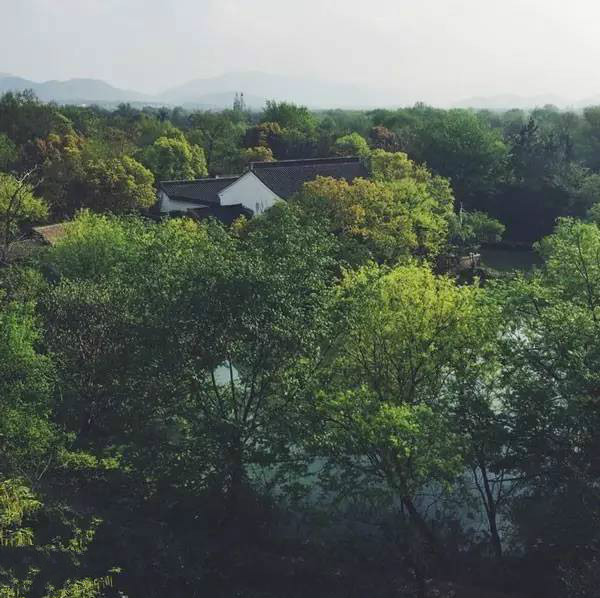 杭州西溪湿地不一样的风景