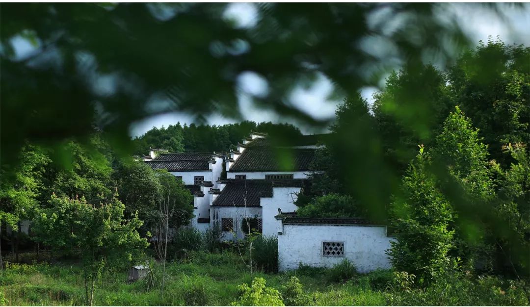 黄山·旧街墨野，浸染徽文化的地方