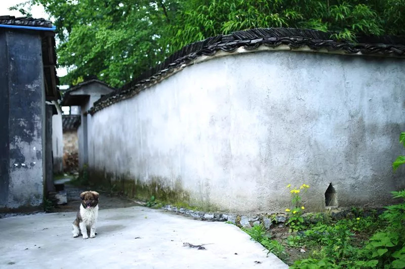黄山·旧街墨野，浸染徽文化的地方