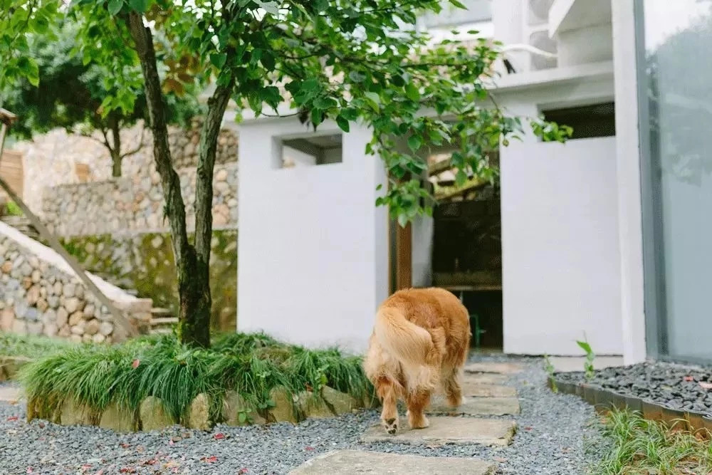 千岛湖|倾境，慢生活消磨着自己的时光