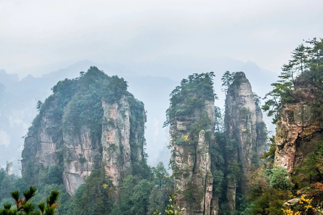 张家界·五号山谷，山谷在重生！