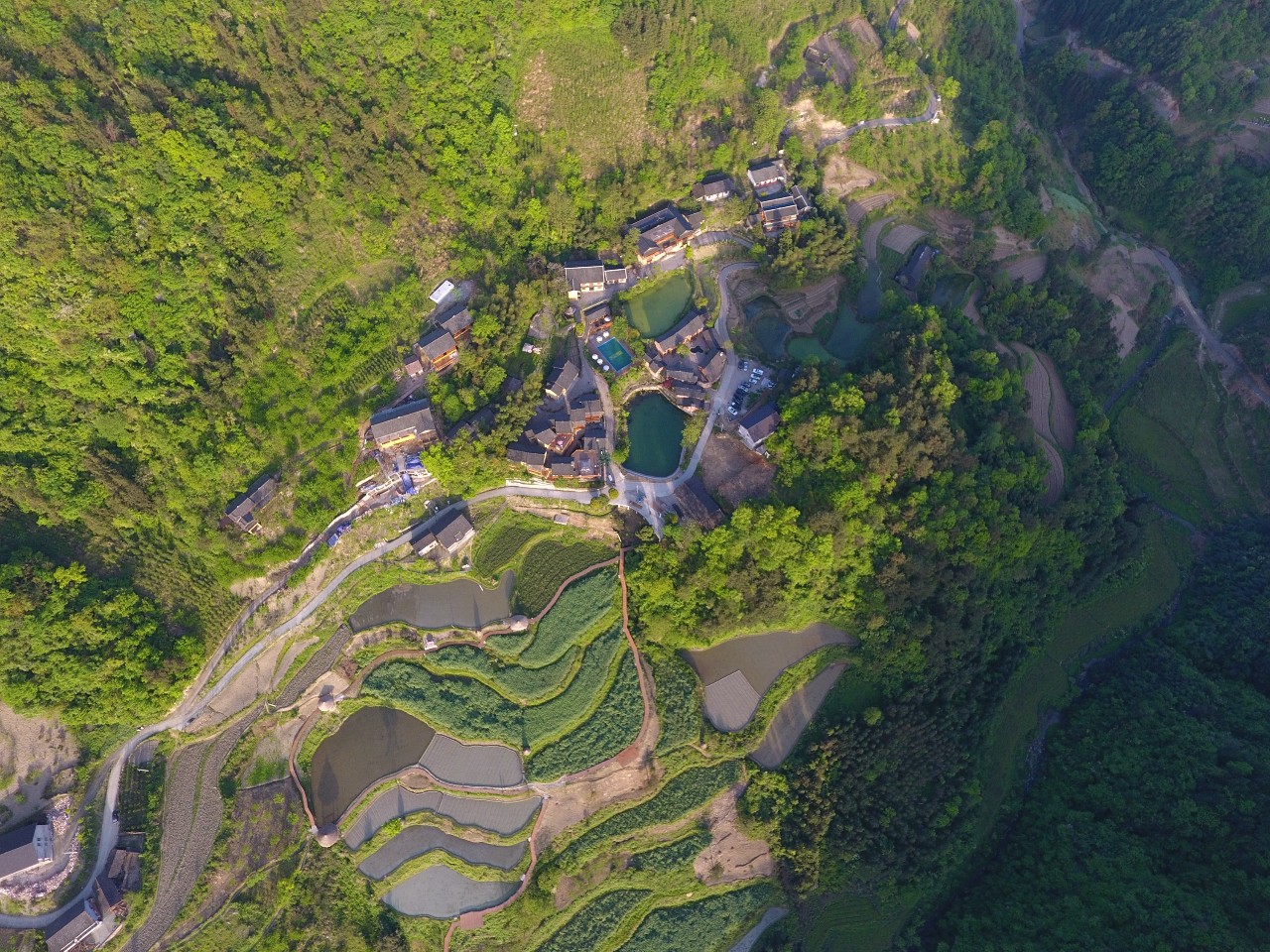 张家界·五号山谷，山谷在重生！