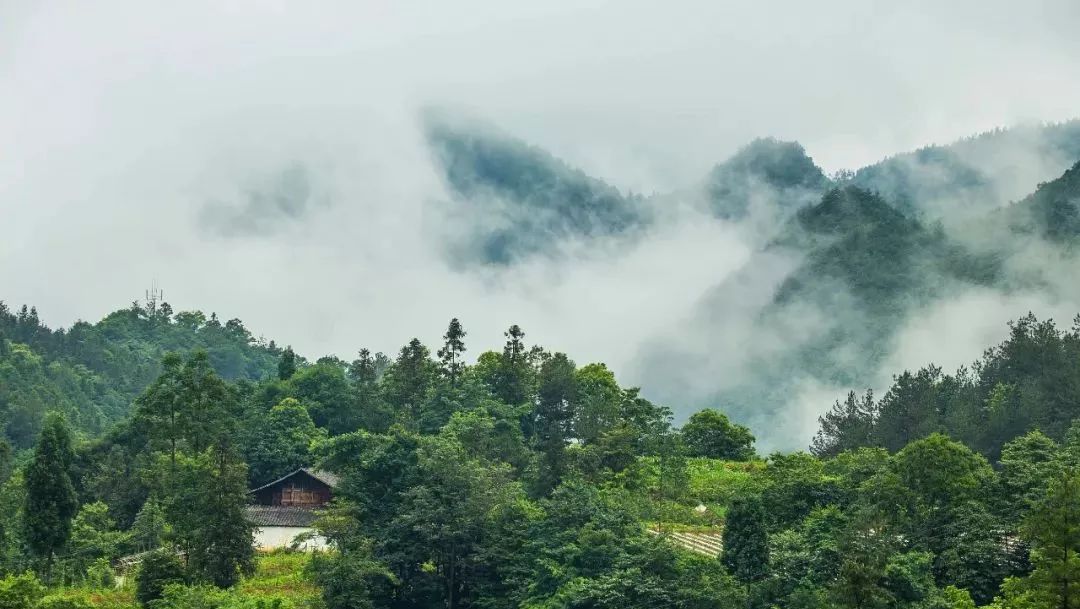 西顾·望城山居，闯入仙境等待一场花开的心动