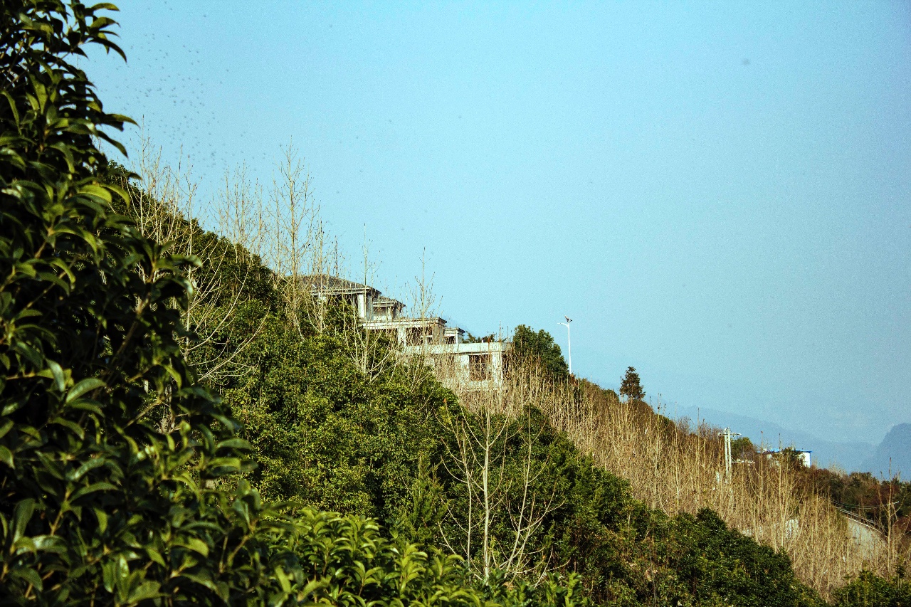 西顾·望城山居，闯入仙境等待一场花开的心动