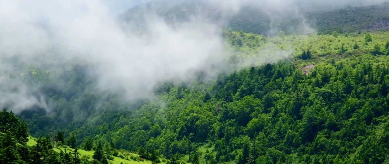 西顾·望城山居，闯入仙境等待一场花开的心动