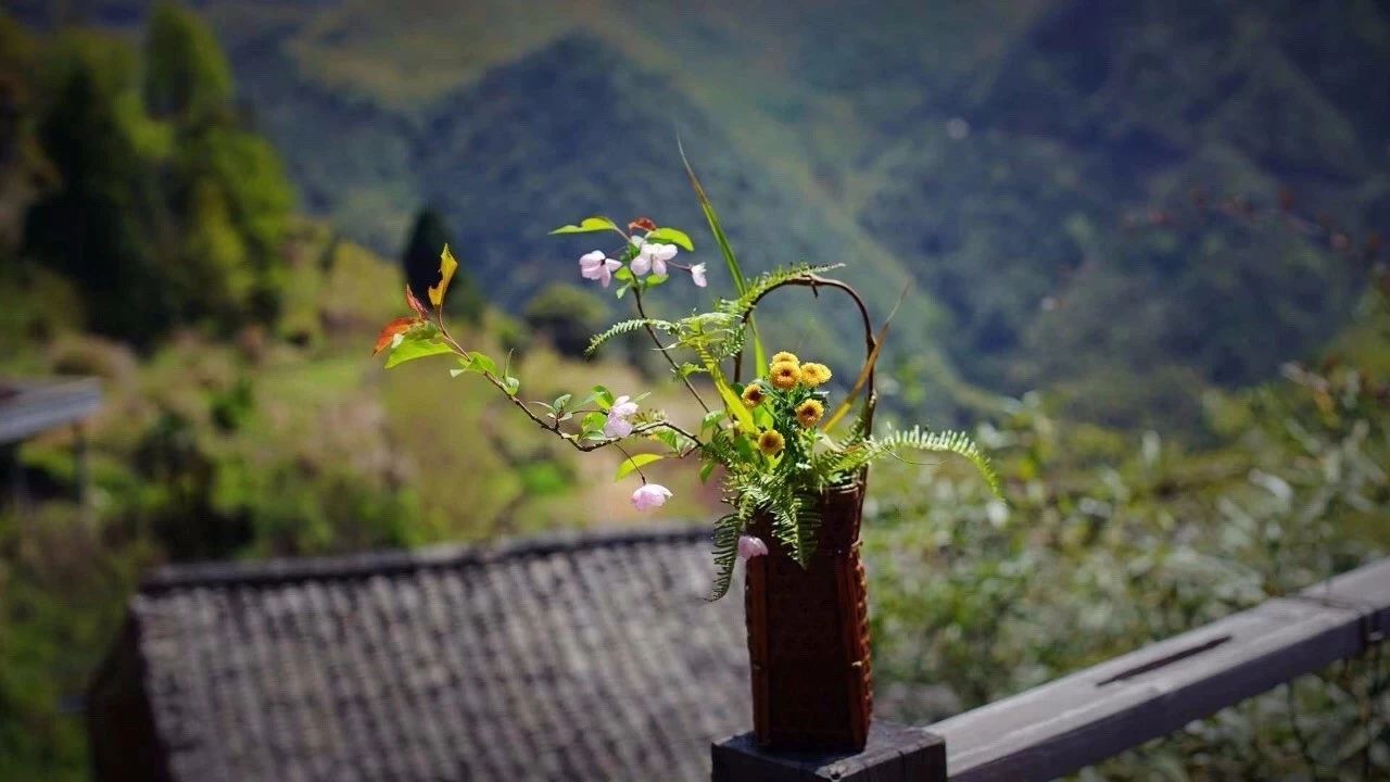 丽江·我们宿约，融入当地的文化生活感染每个人