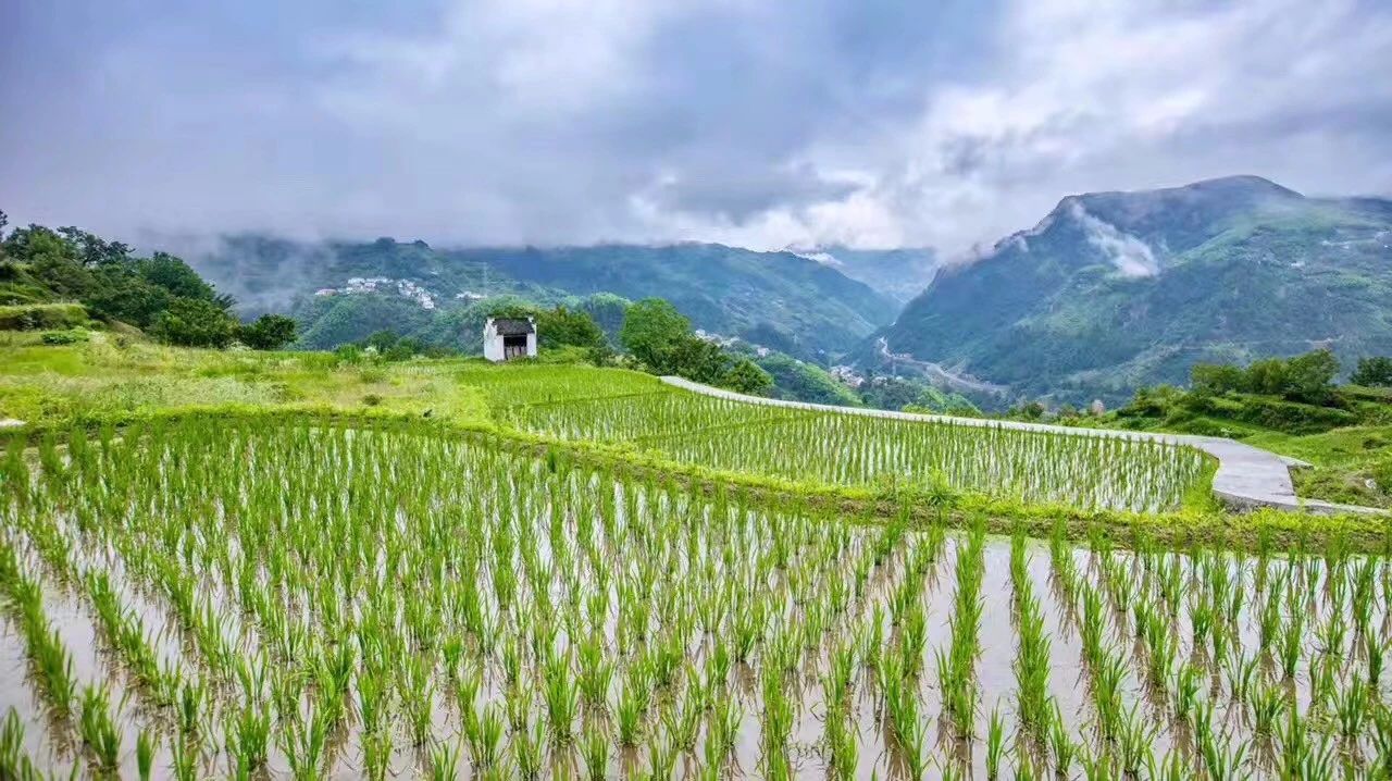 杭州·相见茶舍，若无相欠怎会相见