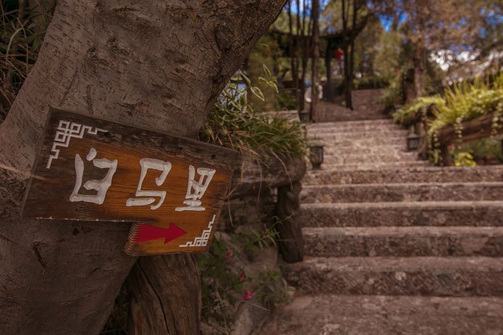 丽江·白马里，千年古城化作最美背景