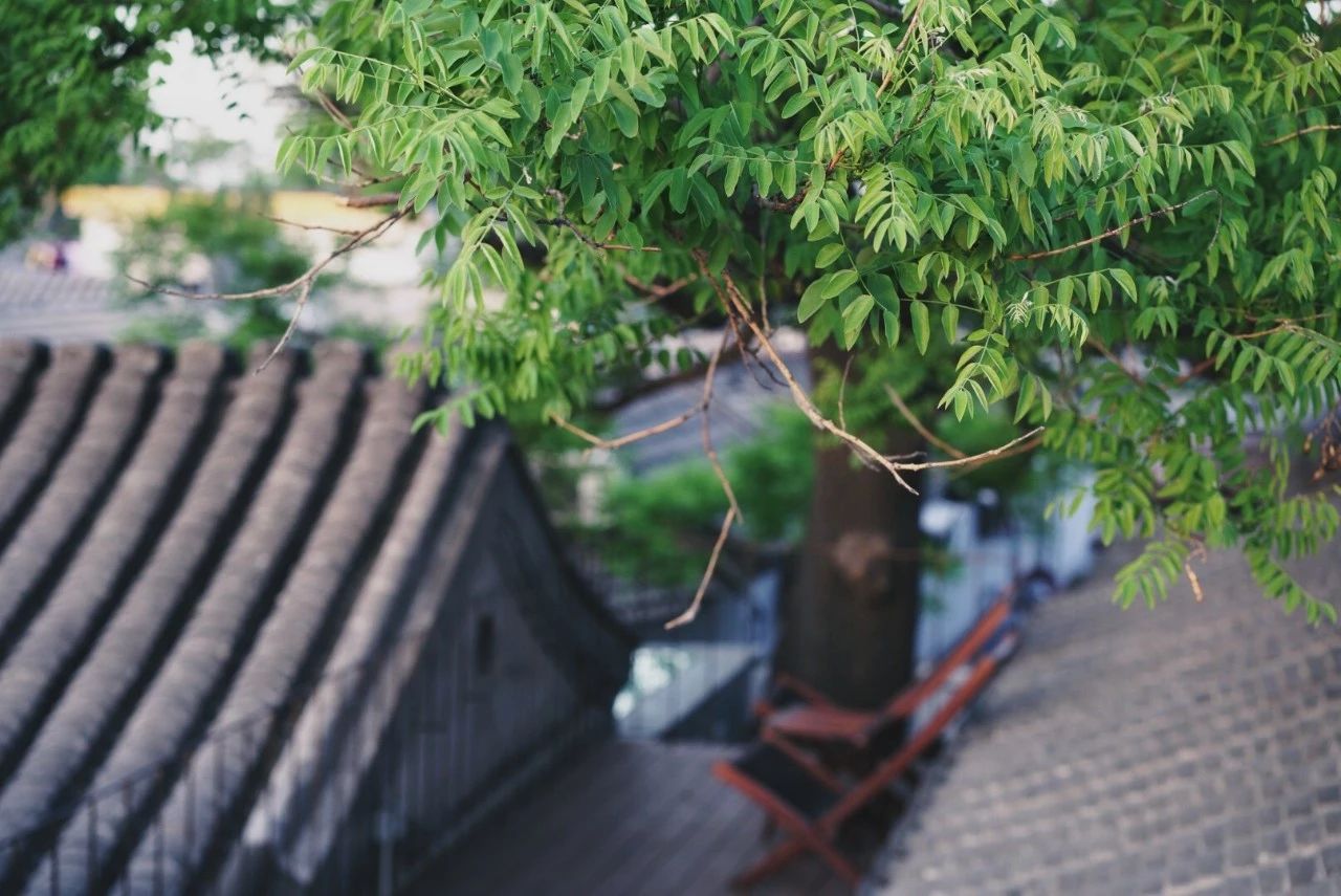 北京·有术，网红建筑师青山周平的新作