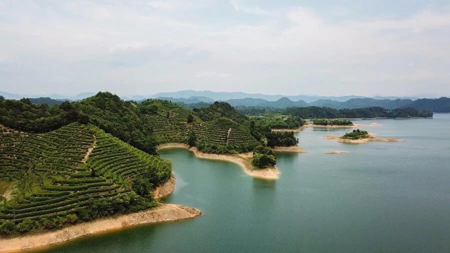 點叁民宿，千岛湖坐船赏景岂不诗意？