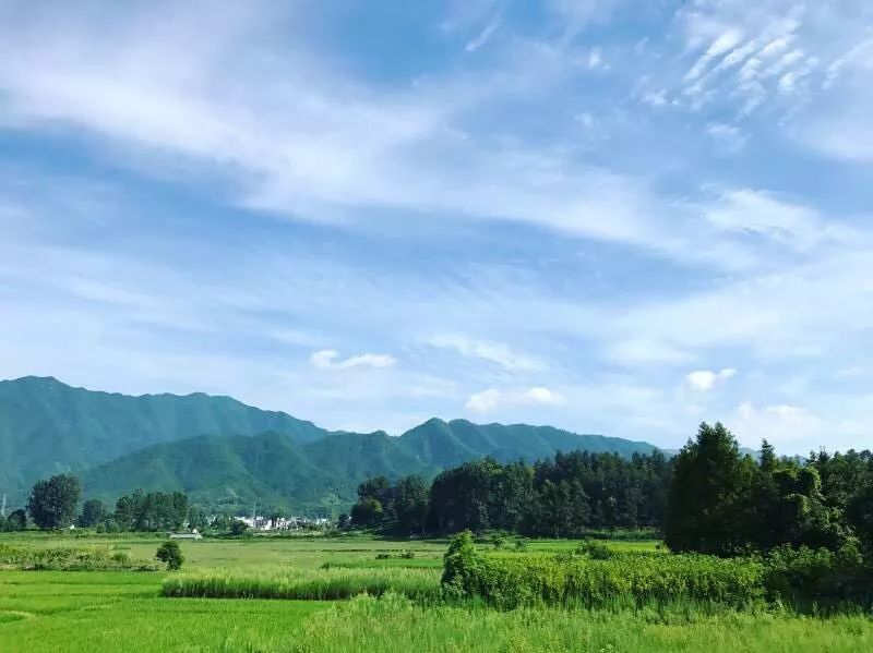 黄山·东田别野，日出而作日落而息的时光野