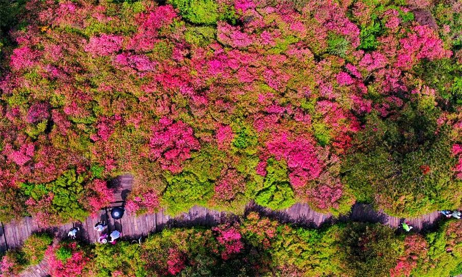 麻城·云梦如故，山里的房子就该有山里的味道