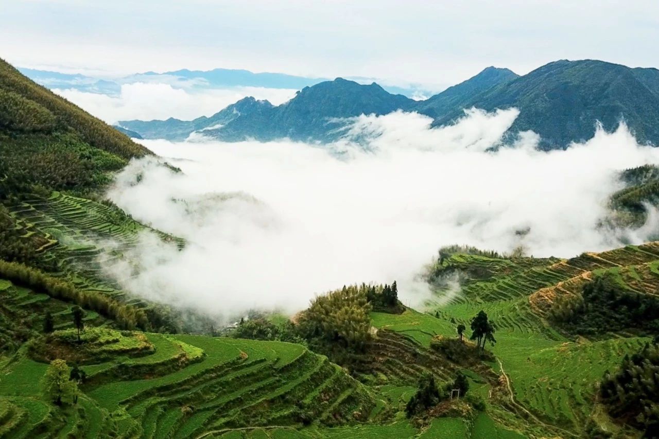 丽水云和·在田间，中国传统水墨山水的意境