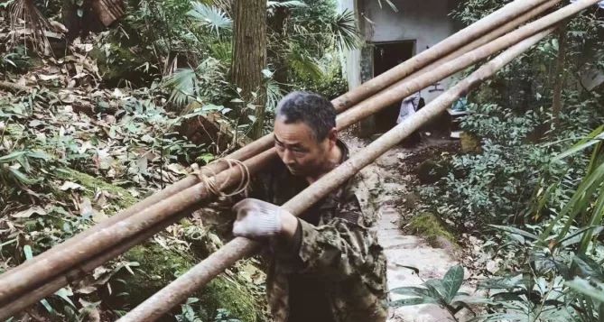 成都·坐忘森林，一宿一悟在火锅之城住森林里