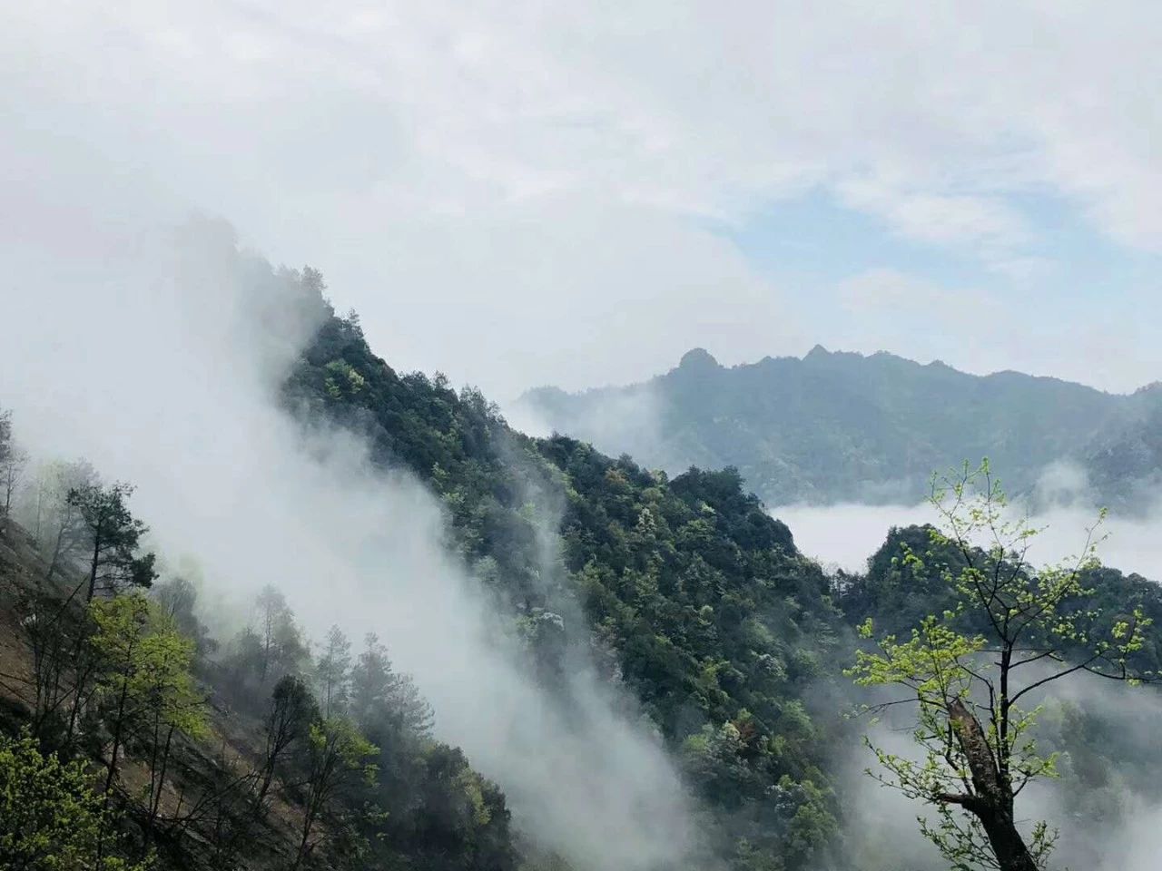 贵州·群山之心，因为梦想所有辛劳皆喜悦