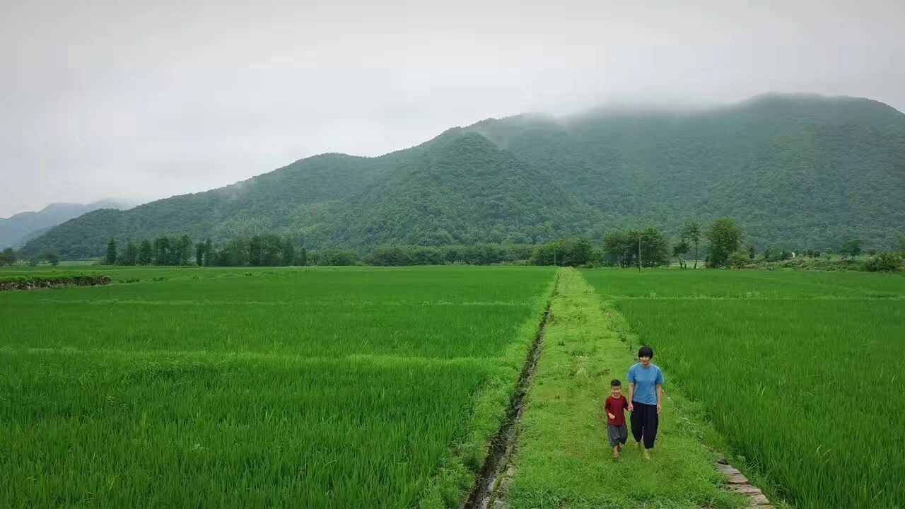 台州临海·草宿，骨子里流淌的乡愁烙印