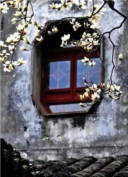 中式古窗：赏一窗花开盼一世安好