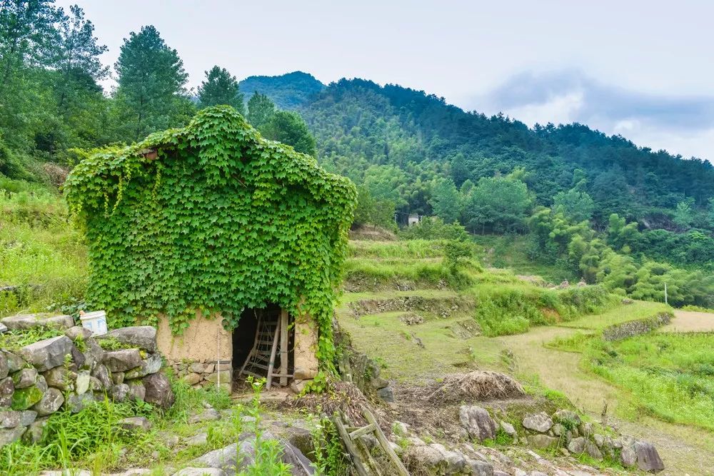 过云山居·长丘田，躺在浴缸里摘朵云