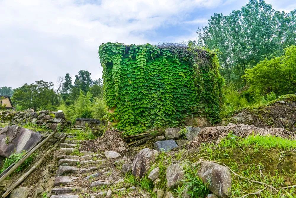 过云山居·长丘田，躺在浴缸里摘朵云