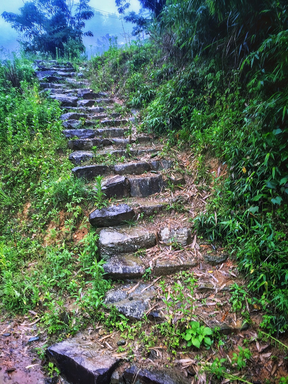 过云山居·长丘田，躺在浴缸里摘朵云