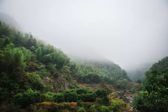 丽水·曼山居，依山而居便不知人间是何夕