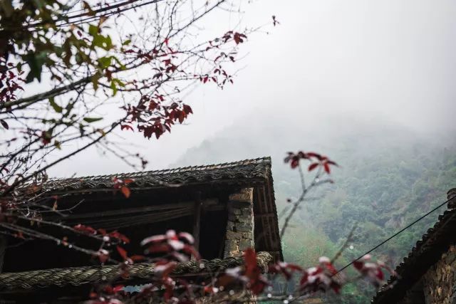 丽水·曼山居，依山而居便不知人间是何夕