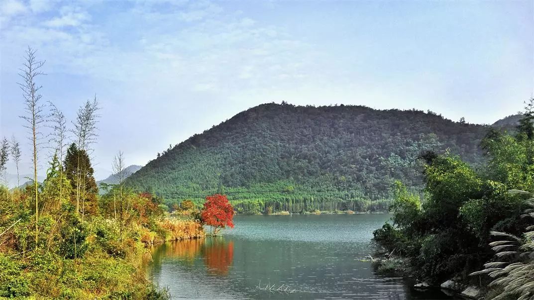 莫干山·宿里，一处桃花源建一处诗意栖居之所