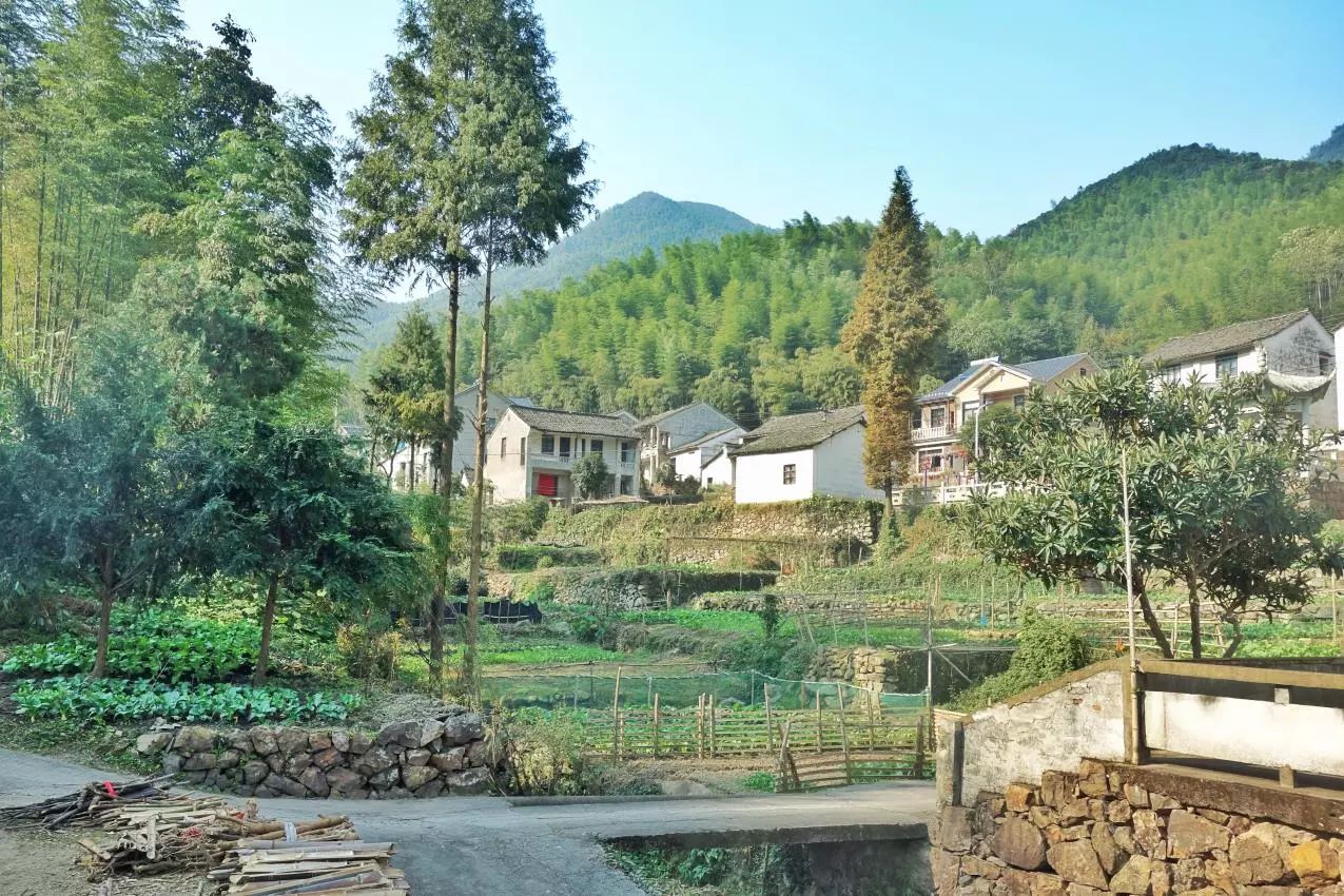 莫干山·宿里，一处桃花源建一处诗意栖居之所