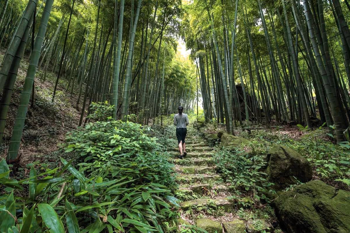 莫干山·宿里，一处桃花源建一处诗意栖居之所