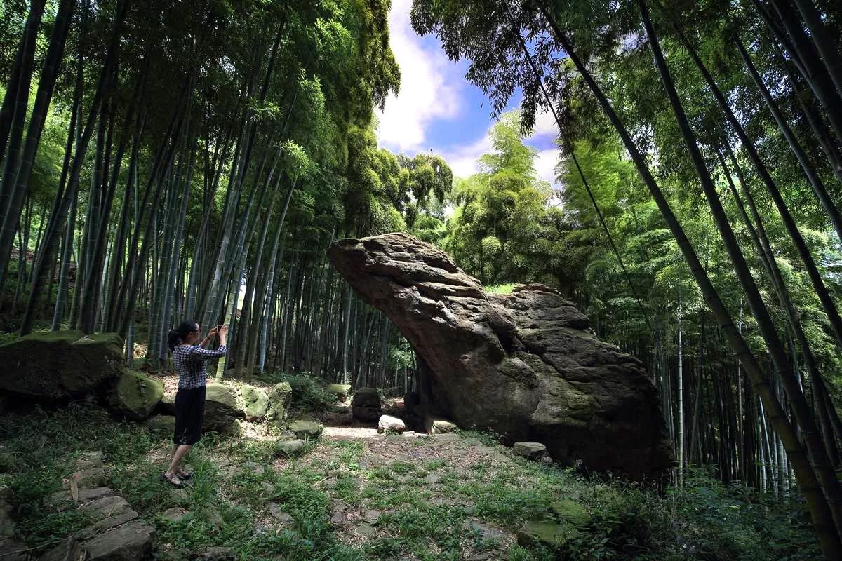 莫干山·宿里，一处桃花源建一处诗意栖居之所