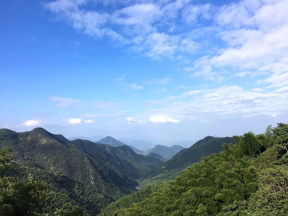 杭州·莲社溪客，不妥协的人生才比较有趣