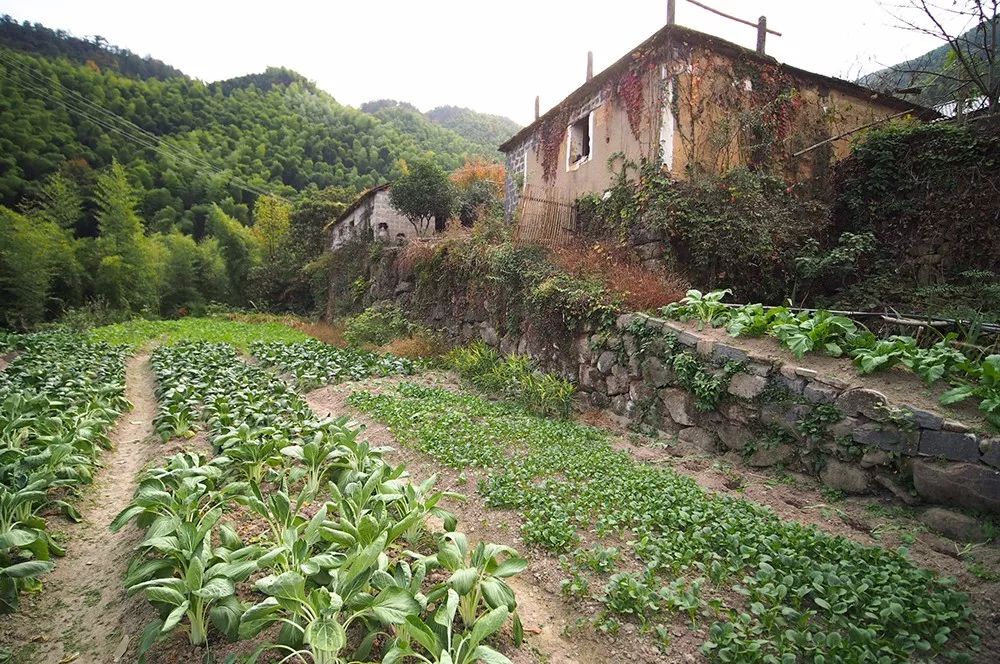 杭州·莲社溪客，不妥协的人生才比较有趣