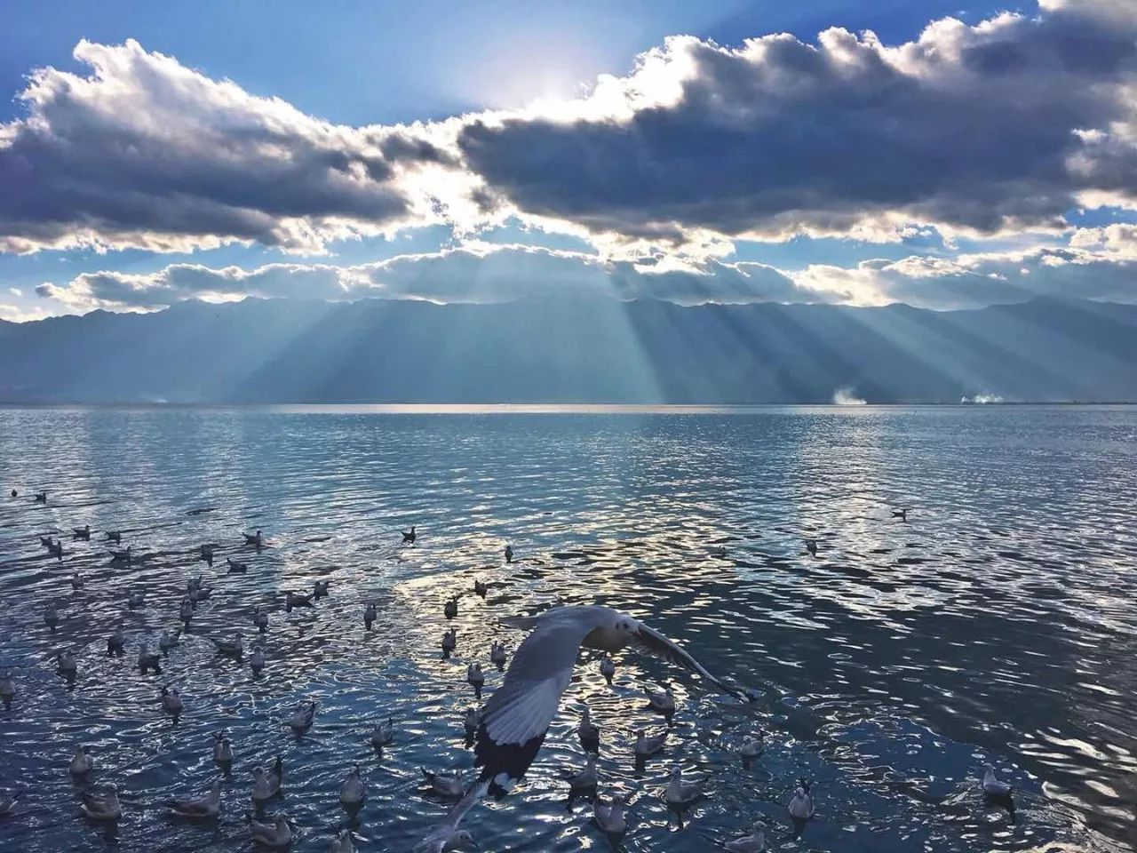 大理慢境·海景艺术客栈，海边的微风阳光